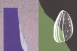 Anthropic's official artwork for its ECDSA curve origins research, showing a seed on a torn paper collage