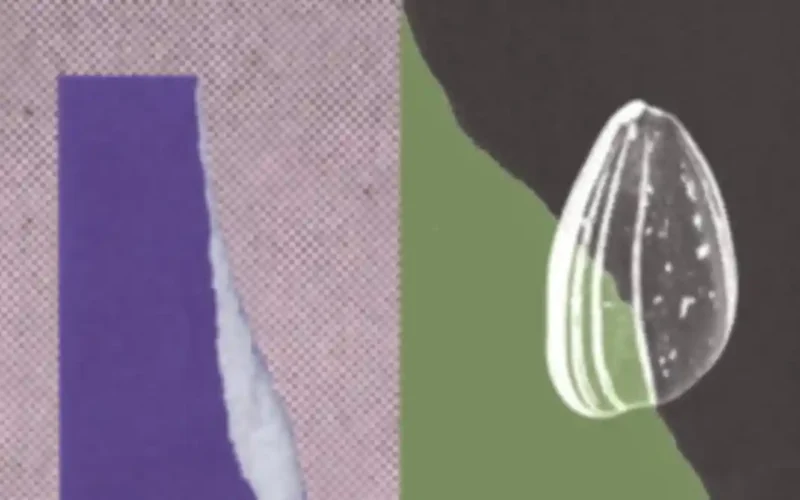 Anthropic's official artwork for its ECDSA curve origins research, showing a seed on a torn paper collage