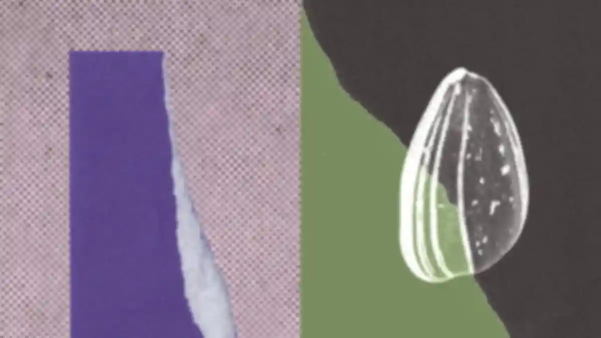 Anthropic's official artwork for its ECDSA curve origins research, showing a seed on a torn paper collage